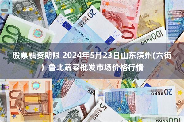 股票融资期限 2024年5月23日山东滨州(六街）鲁北蔬菜批发市场价格行情