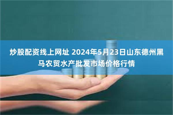 炒股配资线上网址 2024年5月23日山东德州黑马农贸水产批发市场价格行情