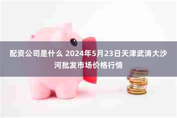 配资公司是什么 2024年5月23日天津武清大沙河批发市场价格行情