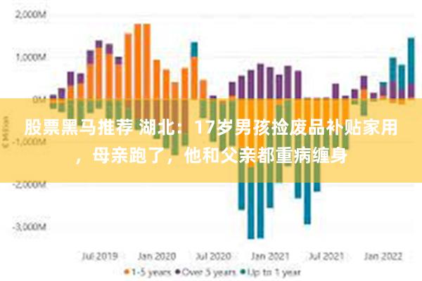 股票黑马推荐 湖北：17岁男孩捡废品补贴家用，母亲跑了，他和父亲都重病缠身