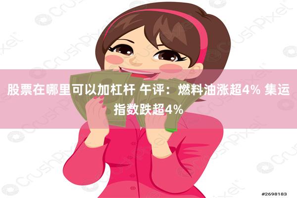 股票在哪里可以加杠杆 午评：燃料油涨超4% 集运指数跌超4%