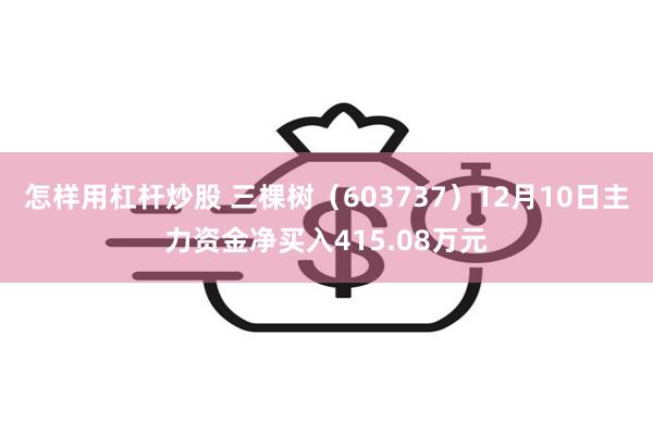 怎样用杠杆炒股 三棵树（603737）12月10日主力资金净买入415.08万元