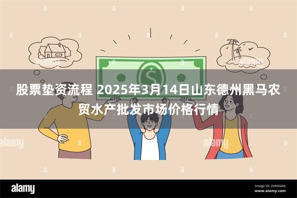 股票垫资流程 2025年3月14日山东德州黑马农贸水产批发市场价格行情