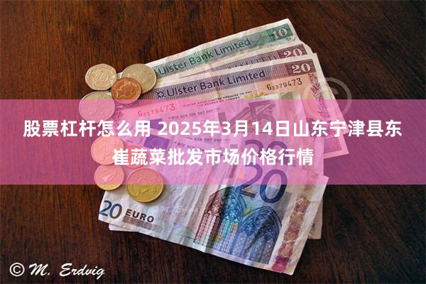 股票杠杆怎么用 2025年3月14日山东宁津县东崔蔬菜批发市场价格行情